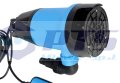 stier1200_4.jpg