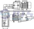 DP 355.jpg