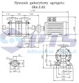 ska302_400.JPG